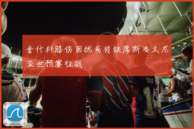 舍什科膝伤困扰或将缺席斯洛文尼亚世预赛征战