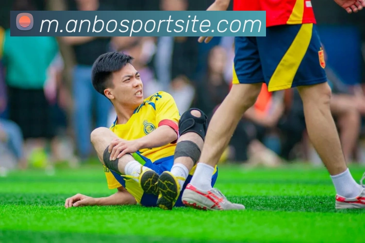 安博体育平台生态图